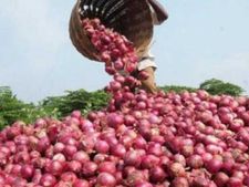 తగ్గుతున్న ఉల్లి ధరలు, జనవరి నాటికి కిలో రూ.25!