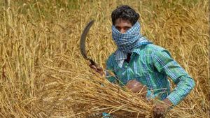 కోవిడ్ కోరలు చాచినప్పటికీ...ఈ రెండు రంగాలే ఆర్థిక వ్యవస్థను కాపాడాయా..?