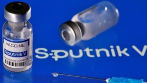  Sputnik V: భారత్‌లో ఉత్పత్తికి ముహూర్తం ఫిక్స్: విదేశాలకు 70 శాతం ఎగుమతి