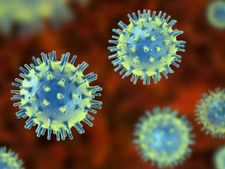 Canine Coronavirus: కుక్కల నుంచి మనుషులకు సోకే మహమ్మారి: 8 కేసులు