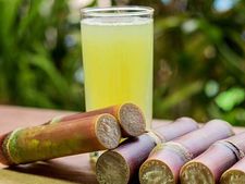 Business Idea: ఎండాకాలంలో ఈ వ్యాపారంలో తక్కువ పెట్టుబడితో దిమ్మతిరిగే లాభం