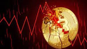 బిట్ కాయిన్ సగం పతనం, క్రిప్టో మార్కెట్ ఎందుకు క్షీణిస్తోంది?