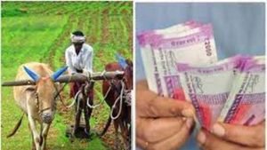  PM KISAN: 11వ విడత పీఎం కిసాన్ కోసం.. మే 31లోగా ఇది పూర్తి చేయండి