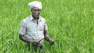 PM Modi: మోదీ ప్రభుత్వం కీలక నిర్ణయం.. 13 కోట్ల రైతులు, గ్రామీణుల లబ్ధి కోసం..  