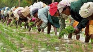 PM Kisan: పీఎం కిసాన్ డబ్బు వెనక్కివ్వాలంటూ ఆ రైతులకు నోటీసులు.. మీకూ ఇలా జరగొచ్చు.. ఎందుకంటే..
