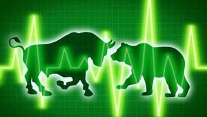 Multibagger IPO Stock: ఇన్వెస్టర్లకు లాభాల పంట కురిపించిన ఐపీవో స్టాక్.. ఏడు నెలల్లోనే మల్టీబ్యాగర్ రిటర్న్స్.