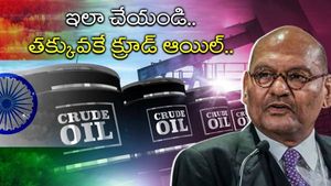  Crude Oil: లీటర్ క్రూడ్ ఆయిల్ రూ.12కే..! ప్రభుత్వానికి అనిల్ అగర్వాల్ సూచన..