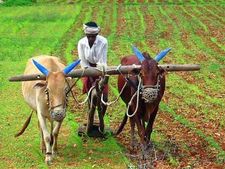 PM Kisan Nidhi Samman Yojana:రైతులకు అలర్ట్.. ఈకేవైసీ చేసుకుంటేనే పీఎం కిసాన్ డబ్బులు.. చివరి తేదీ ఎప్పుడంటే..