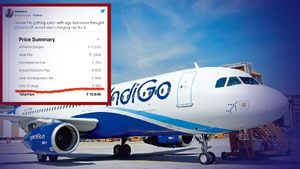 Indigo: క్యూట్‌గా ఉంటే ఛార్జీలు వసూలు చేస్తారా..? వైరల్ గా మారిన విమాన ప్రయాణికుడి ట్వీట్.. 