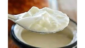 Curd: పెరుగు తినటం కష్టమే..! జీఎస్టీ పెంచింది 5%.. కానీ రేటు 50 శాతం పెరిగింది..