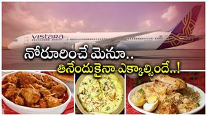 Airline News: ప్రయాణంతో పాటు విస్తారా విందు.. టాటాల నయా ఆఫర్లు.. ప్రయాణికులకు పండగ.. 