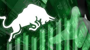 Rocket Stock: రాకెట్ లాగా దూసుకెళ్తున్న షేర్.. దుస్తుల వ్యాపారంలో సంచలనం.. టార్గెట్ ధర ఎంతంటే.. 