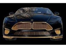  Tesla: కారంతా బంగారు మయం.. ఖరీదైన ఈ టెస్లా కారు రేటు వింటే మీ ఫూజులౌట్.. స్పెషాలిటీస్ ఇవే.. 