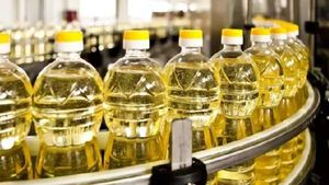Edible Oils: సామాన్యులకు గుడ్ న్యూస్.. దీపావళికి దిగివస్తున్న వంటనూనె ధరలు.. పూర్తి వివరాలు