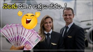 Salary Hike: దీపావళి స్పెషల్.. ఆ ఉద్యోగు జీతాన్ని నెలకు రూ.7 లక్షలు చేసిన కంపెనీ.. నవంబర్ నుంచి