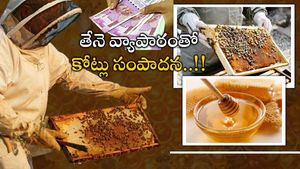 Honey Business: తేనె వ్యాపారంలో కోట్లు ఆర్జన.. భార్యాభర్తల తీపి విజయం.. ఉద్యోగాలు మానేసి..