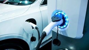  Mahindra EV: భారీ ఈవీ ప్లాంట్ ఏర్పాటులో మహీంద్రా.. ఎక్కడో తెలుసా..?