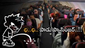 Air India: విమానంలో వికృతం.. మహిళా పాసింజర్ పై ఒక వ్యక్తి అలా చేశాడు..!