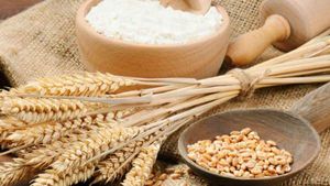 Wheat Price: సామాన్యులకు శుభవార్త.. తగ్గనున్న గోధుమ పిండి ధర..