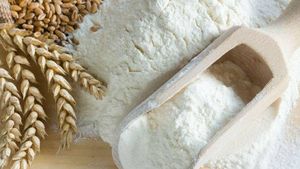 Wheat: కేంద్ర ప్రభుత్వం చర్యలతో తగ్గిన గోధుమల ధర..