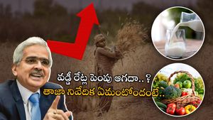 RBI వడ్డీ రేట్లను భారీగా పెంచొచ్చు.. రేటింగ్ ఏజెన్సీ హెచ్చరిక.. అదే కారణమంటూ..!