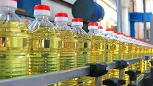 Business Ideas: గ్రామంలోనే ప్రారంభించుకునే వ్యాపారం.. తక్కువ పెట్టుబడి ఎక్కువ డిమాండ్..