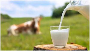 Milk Prices: మరుగుతున్న పాల ధరలు.. 8 ఏళ్ల గరిష్ఠానికి ద్రవ్యోల్బణం.. పెరుగుతున్న సమస్యలు