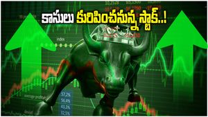 Multibagger Stock: లక్షను రూ.72 లక్షలు చేసిన స్టాక్.. కంపెనీ మన తెలుగోళ్లదే గురూ..