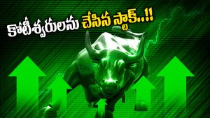 Multibagger Stock: లక్ష పెడితే రూ.1.13 కోట్ల రాబడి.. అరె ఏం స్టాక్ రా ఇది..? 