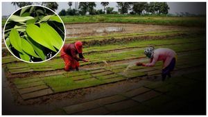 Business Ideas: జీవితాలను మార్చేసే ఆకులు.. సాగుచేస్తే సూపర్ లాభాలే..