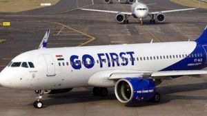 Go First: నేలకూలిన మరో విమానయాన సంస్థ.. డబ్బు లేక దివాలాకు దాఖలు..!