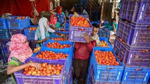 Tomato: ఆకాశానికి టొమాటో ధరలు.. సెంచరీలు కొడుతున్న కూరగాయలు..