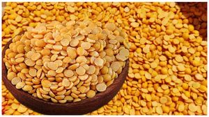 Tur Dal: పరుగుల పందెంలో కందిపప్పు.. సర్వేలో షాకింగ్ విషయాలు.. కేంద్రం..  