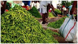 Green Chilli: మంట పుట్టిస్తోన్న పచ్చి మిర్చి.. కిలో రూ.160..!