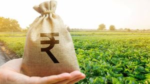 Kisan Rin Portal: రైతుల కోసం కొత్త పోర్టల్.. ఇన్ని ప్రయోజనాలా.. వాడేసుకోండి.. 