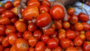 Tomato Price: భారీగా పతనమైన టమాటా ధరలు.. కిలో రూ.5 రూపాయలే..!