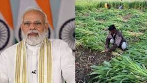 PM Kisan: పీఎం కిసాన్ సహాయాన్ని రూ. 10 పెంచాలన్న ఐసీఆర్ఐఈఆర్..
