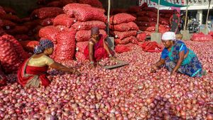 Onion Price: మళ్లీ పెరుగుతున్న ఉల్లి ధరలు.. ఎన్నికల వేళ కేంద్రం నిఘా..