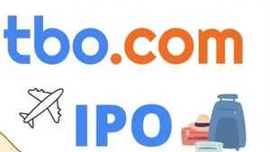 TBO Tek IPO: ఐపీఓగా రానున్న ఆన్‌లైన్ ట్రావెల్ డిస్ట్రిబ్యూషన్ ప్లాట్‌ఫామ్ టీబీఓ టెక్..