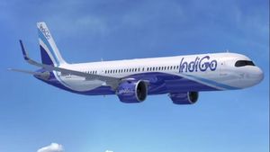 IndiGo: విమాన ప్రయాణికులకు శుభవార్త.. ఆ ఛార్జీలు తొలగింపు..! 