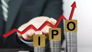 IPO News: కుప్పకూలుతున్న మార్కెట్లో ఐపీవో విజయం.. పైసలు డబుల్ చేసింది..