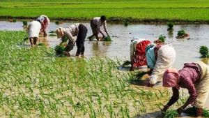 Budget 2024: శుభవార్త.. బడ్జెట్లో 10 కోట్ల రైతులకు మేలుచేసే కీలక నిర్ణయం..!