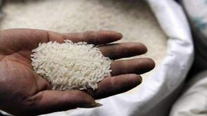 rice exports: బియ్యం, గోధుమ ఎగుమతులపై కేంద్రం మంత్రి వ్యాఖ్యలు.. ఆ ప్రతిపాదన ఏమీ లేదని స్పష్టం