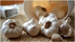 Garlic Price: ఆకాశానికి చేరిన వెల్లుల్లి రేట్లు.. కేజీ ధర రూ.600 దాటేసింది.. ఎందుకంటే