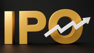 Entero Healthcare IPO: ఎంటరో హెల్త్‌కేర్ సొల్యూషన్స్ ఐపీఓ ప్రారంభం..
