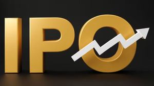 IPO News: ఒడిదొడుకుల్లో ఐపీవో బంపర్ లిస్టింగ్.. తొలిరోజే రికార్డు లాభాల ర్యాలీ..