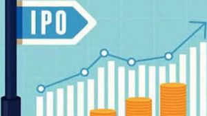 IPO News: ఇదిరా ఐపీవో అంటే.. ప్రీమియం లిస్టింగ్‌తో తొలిరోజే 386% లాభం.. కొన్నారా