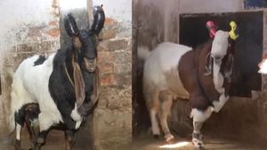 Bakrid 2024: రూ.7 లక్షలు పలికిన మేక.. ఎక్కడంటే..!	