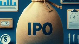 IPO News: ఇన్వెస్టర్లు ఎగబడి కొంటున్న ఐపీవో.. తొలిరోజే 100 శాతం సబ్‌స్క్రిప్షన్.. గ్రేమార్కెట్లో