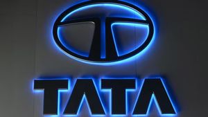 Tata News: టాటా గ్రూప్ షేర్ హోల్డర్స్‌ లిస్ట్‌లో మిస్టరీ మ్యాన్.. ఎవరా వ్యక్తి, ఏంటా కథ?